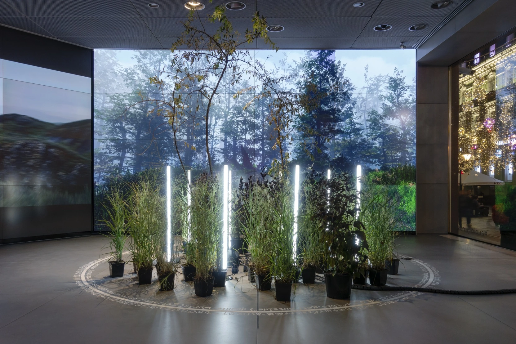 The realised installation: living plants and vertical lights within a floor circle, with the virtual forest on adjacent screens.