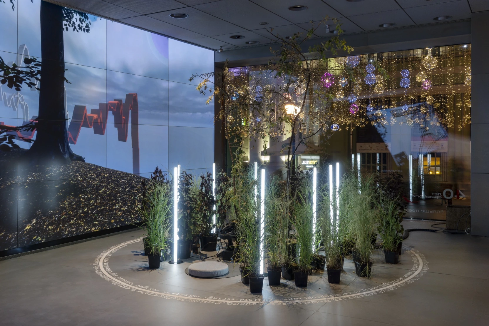 Oblique view of the installation, showing plants and lights inside the floor circle and an adjacent screen.