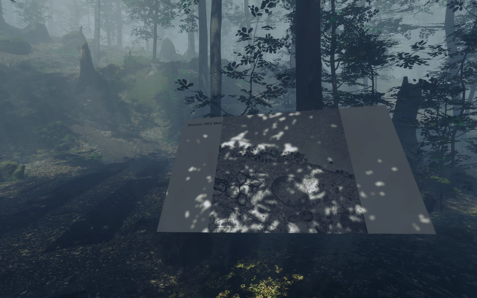 A displayed microscopy image embedded in the virtual forest.