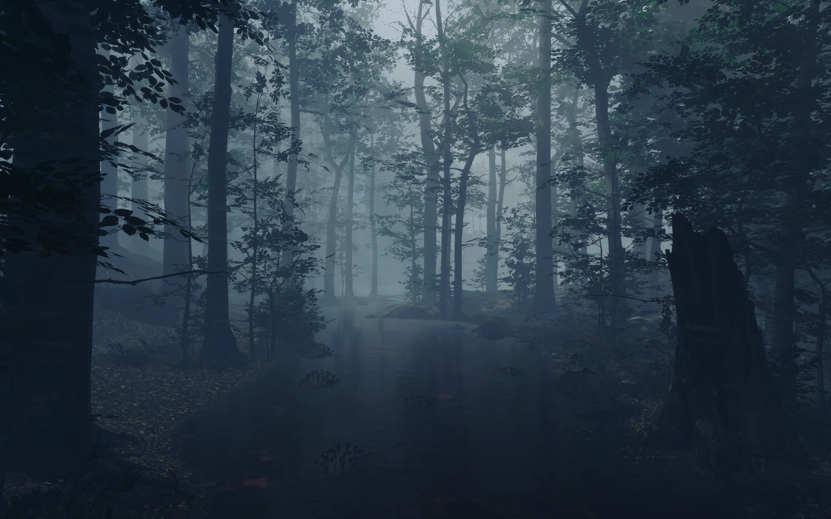 A dark river running through the virtual forest.