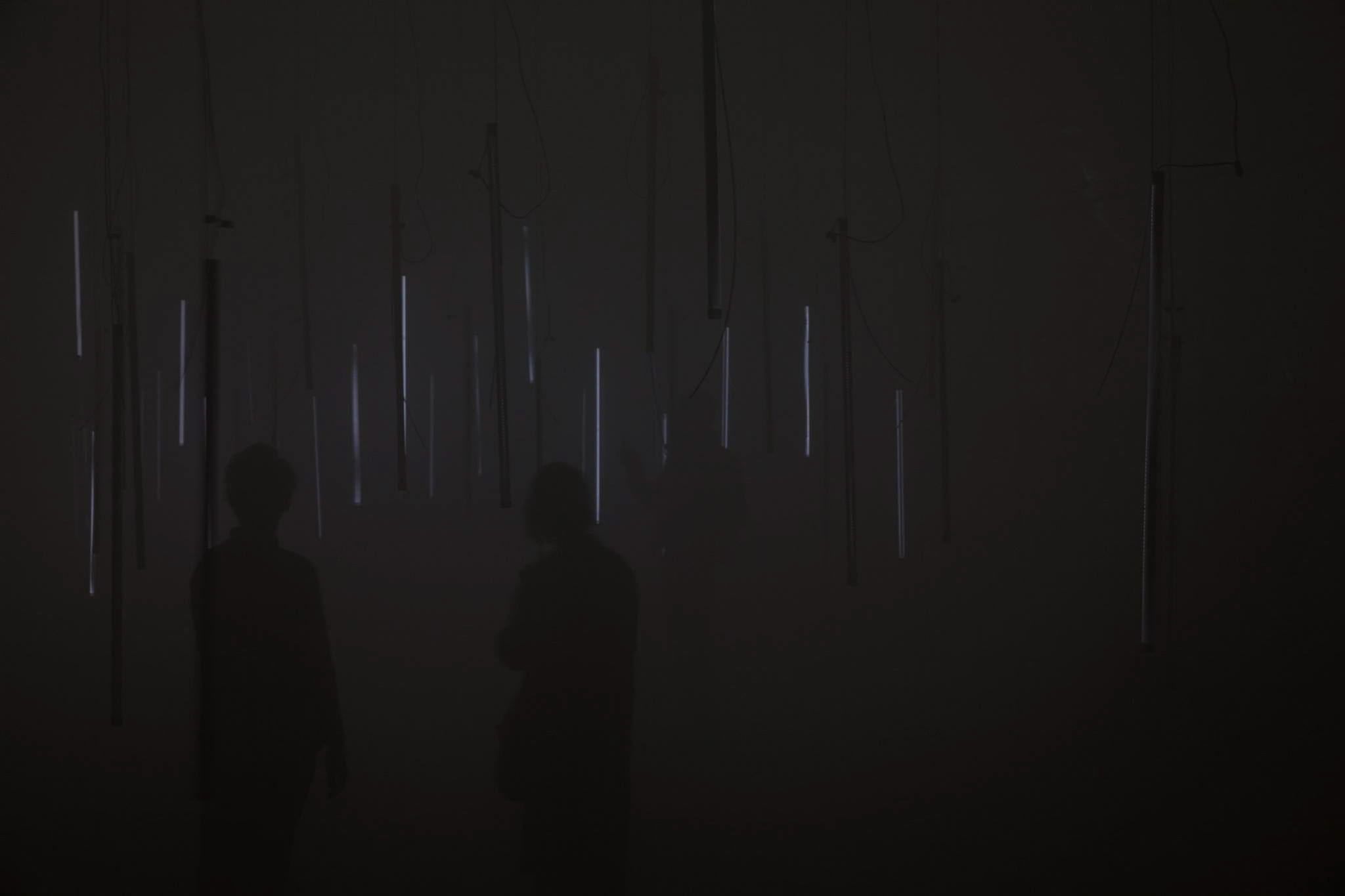 Two visitors in a dark field of suspended light objects; several narrow lines of light remain visible.