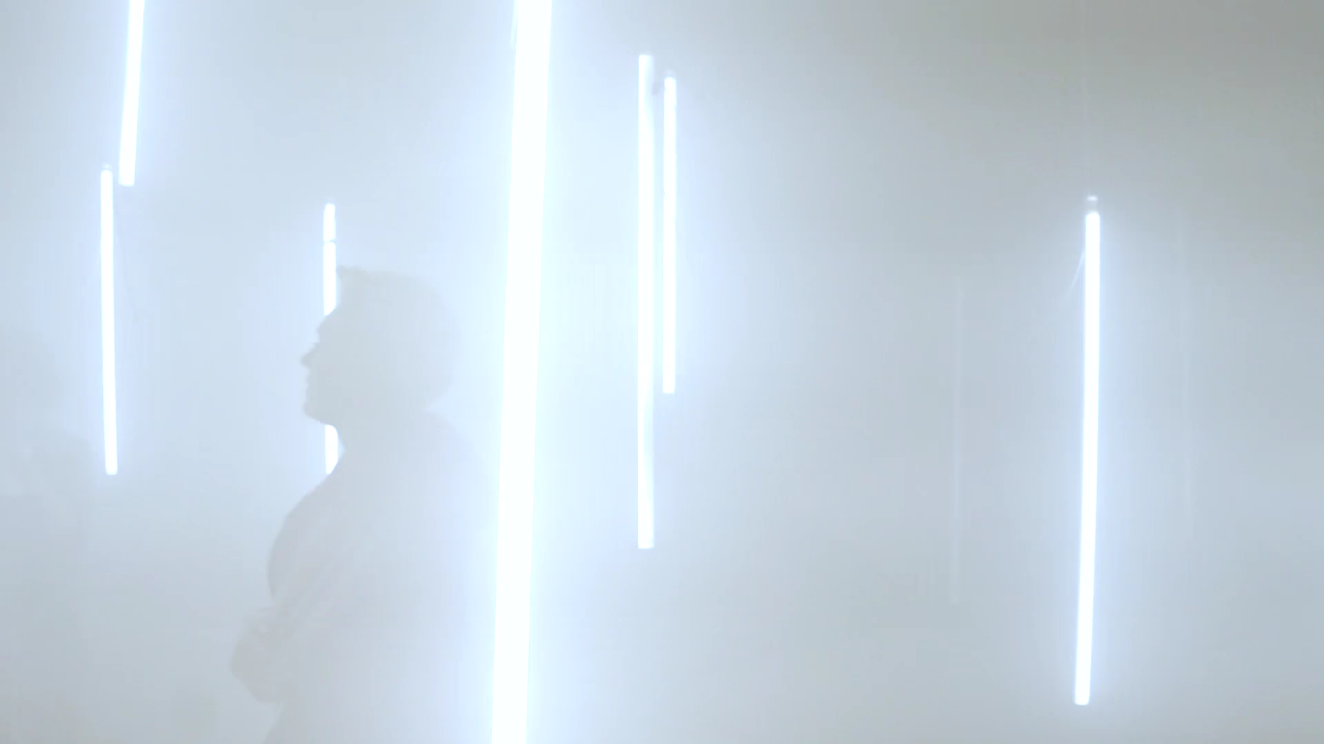 A visitor in profile, partially obscured by bright light and haze.