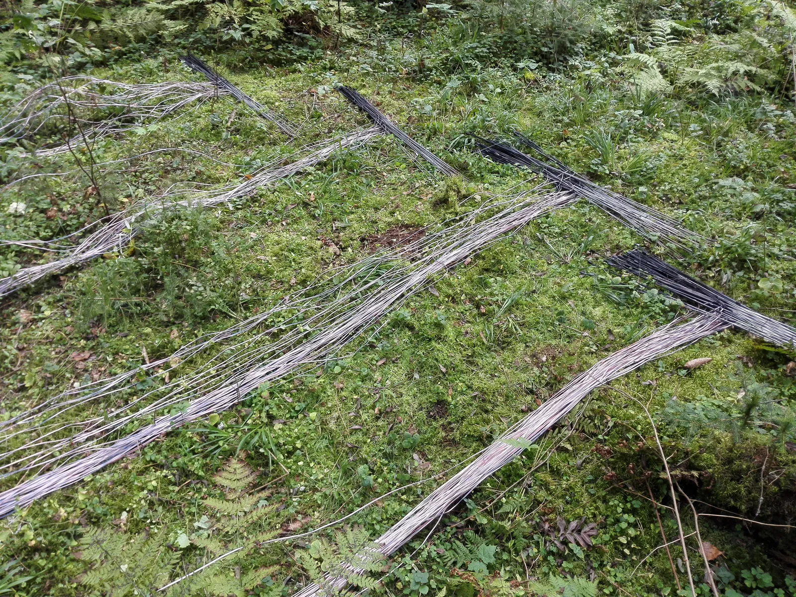 Test fragment of Laser Grass in the ground
