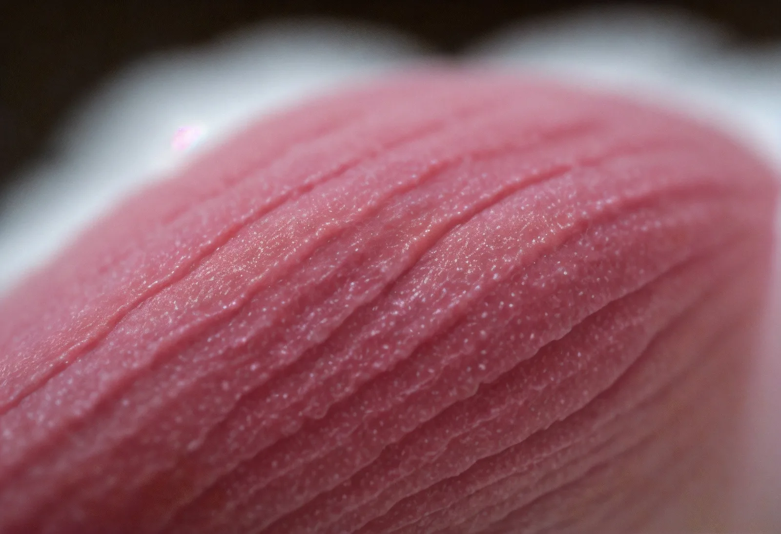 A close view of a gently curved pink ridged surface.